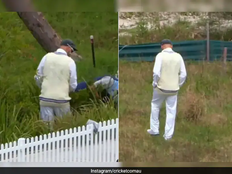 Watch: Peak Gully Cricket As Australia’s Nathan Lyon Goes On Hunt For Lost Ball In Bushes